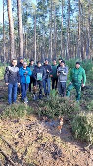 Pressebild 3 - Baumzeit