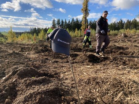 Pressebild 1 - Baumzeit